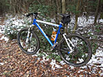 ORBEA