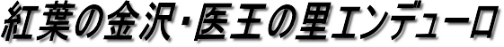gt̋E㉤̗Gf[